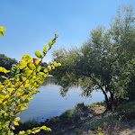 Photo n°6 de l'avis de Marita.u fait le 25/09/2021 à 16:42 sur le  Mönchhof à Hattersheim am Main