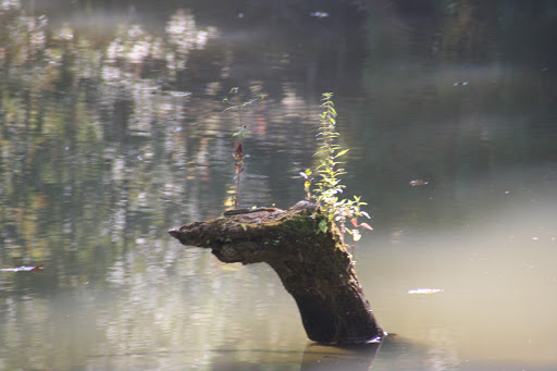 Nature Preserve «Caesar Creek Gorge State Nature Preserve», reviews and photos, 4080 Corwin Rd, Oregonia, OH 45054, USA