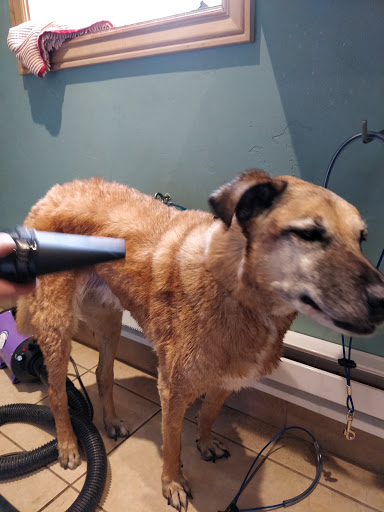 Pet Supply Store «Fresh Tracks Pet Shoppe», reviews and photos, 41199 US-6, Avon, CO 81620, USA