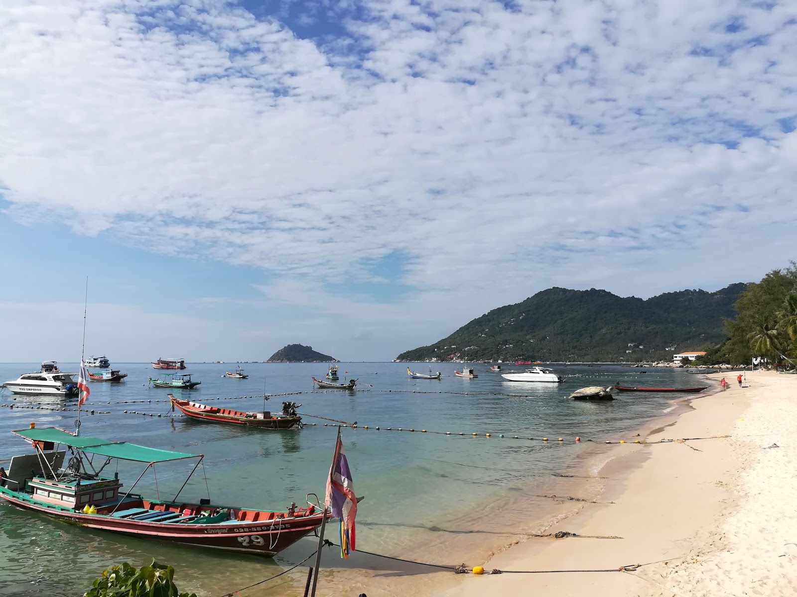 Mae Haad Beach'in fotoğrafı uçurumlarla desteklenmiş