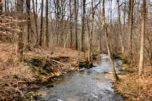 Sweet Run State Park image