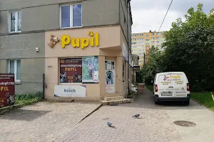 Pupil pet shop image