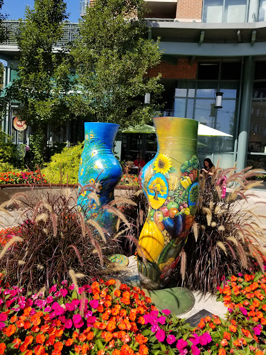 Supermarket «Price Chopper», reviews and photos, 55 Railroad Pl, Saratoga Springs, NY 12866, USA