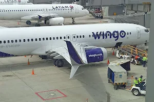 Wingo Airlines image