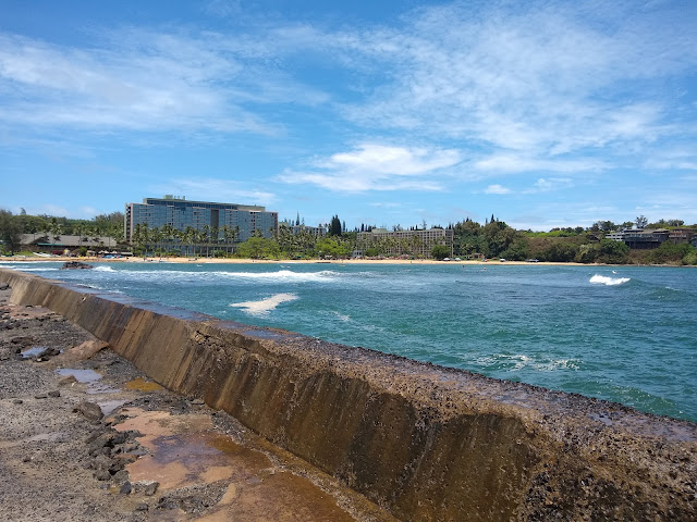 Nāwiliwili Park by null