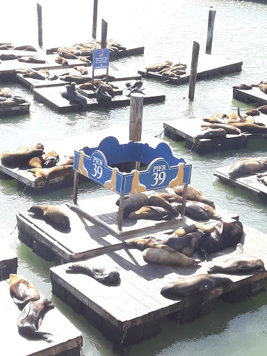 Harley-Davidson Dealer «Dudley Perkins Co. Harley-Davidson & Buell», reviews and photos, 333 Corey Way, South San Francisco, CA 94080, USA