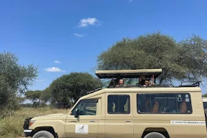 Mnyalu Safaris & Trekking image