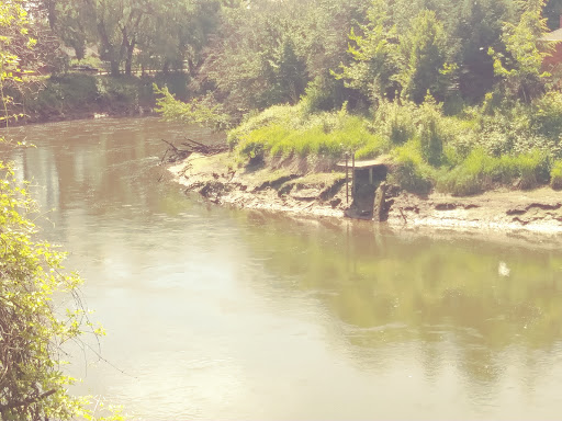 Park «Duwamish Hill Preserve», reviews and photos, 3800 S 115th St, Tukwila, WA 98168, USA