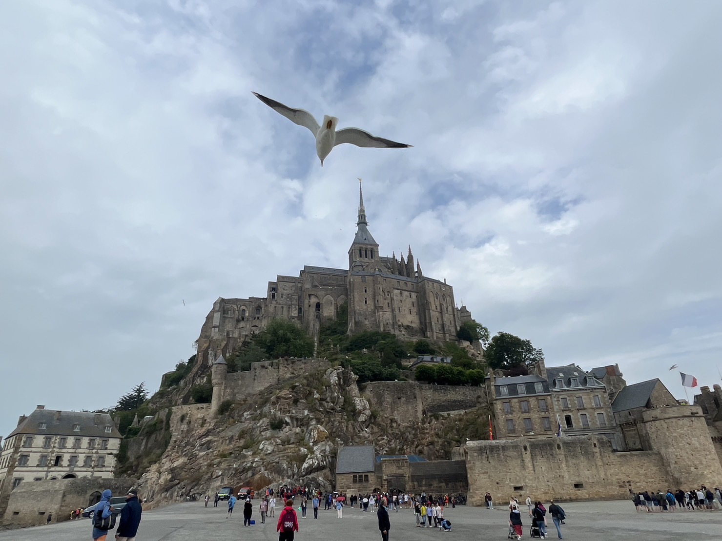 Photo n° 1 de l'avis de NATSUMI.I fait le 10/06/2023 à 14:17