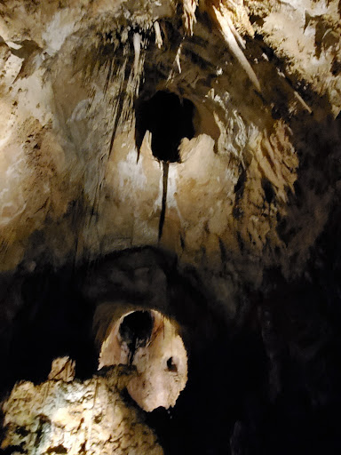 Tourist Information Center «Carlsbad Caverns National Park Headquarters», reviews and photos