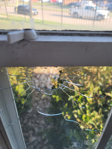 Pawn Shop «North Dallas Pawn», reviews and photos, 2636 Frankford Rd # 107, Dallas, TX 75287, USA