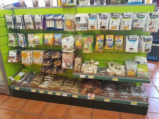 Interzoo - San Cristóbal de La Laguna