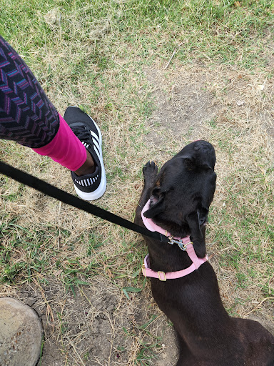 Park «Katherine B. Winniford Park», reviews and photos, 4900 Highlands Dr, McKinney, TX 75070, USA