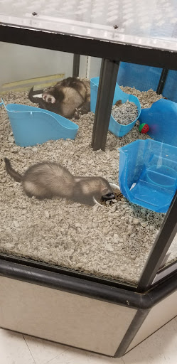 Pet Supply Store «Petco Animal Supplies», reviews and photos, 2277 Ford Pkwy, St Paul, MN 55116, USA