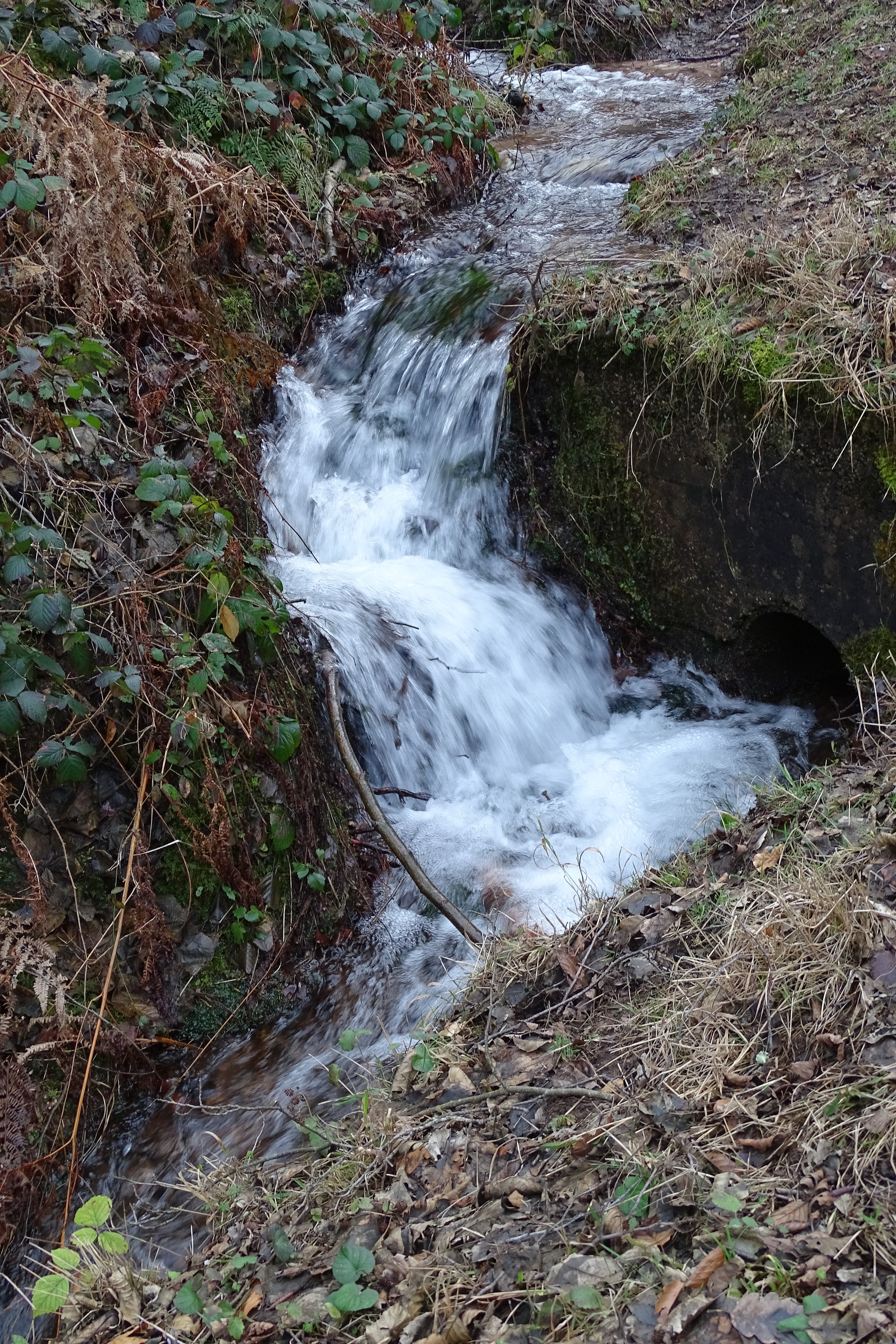 Photo n° 38 de l'avis de Aloyse.o fait le 15/02/2024 à 18:25
