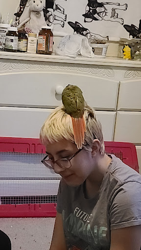 Pet Supply Store «PetSmart», reviews and photos, 7663 Arundel Mills Blvd, Hanover, MD 21076, USA