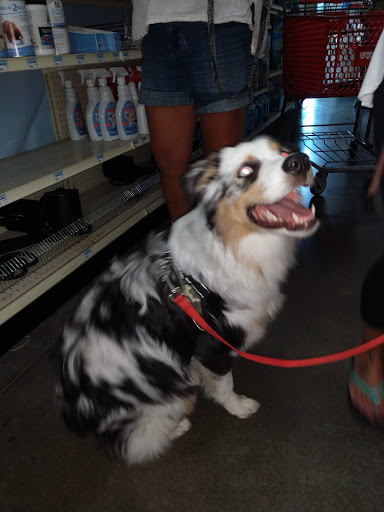 Home Improvement Store «Tractor Supply Co.», reviews and photos, 8135 Brookville Rd, Indianapolis, IN 46239, USA