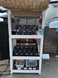 白砂めだか