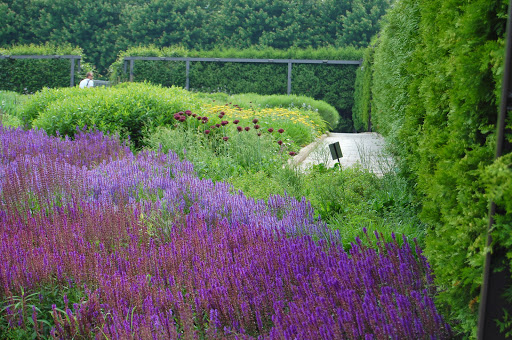 Park «Millennium Park», reviews and photos, 201 E Randolph St, Chicago, IL 60602, USA