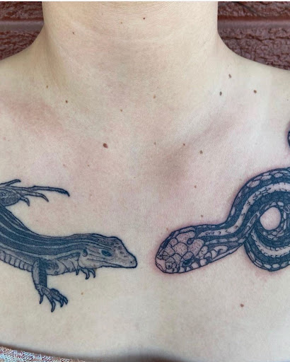 Find simple cat tattoo ideas for your next unique tattoo in Boulder at Claw and Talon Tattoo