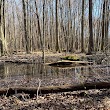 Lou Campbell State Nature Preserve