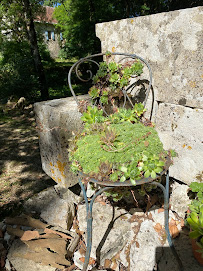 Photo n° 1 de l'avis de Peter Moreau fait le 25/07/2023