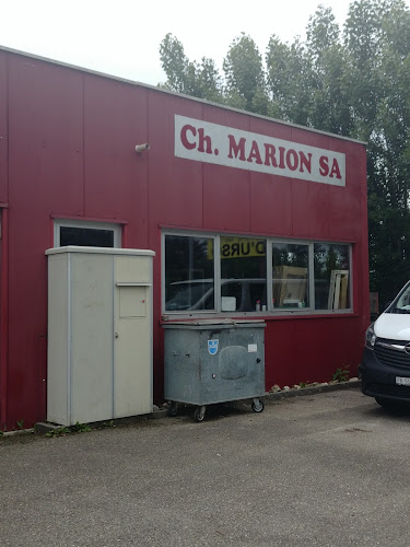Rezensionen über Charles Marion S.A. in Yverdon-les-Bains - Elektriker