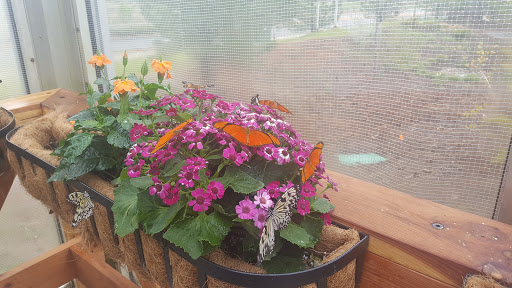 Animal Protection Organization «Butterfly Pavilion», reviews and photos, 6252 W 104th Ave, Westminster, CO 80020, USA