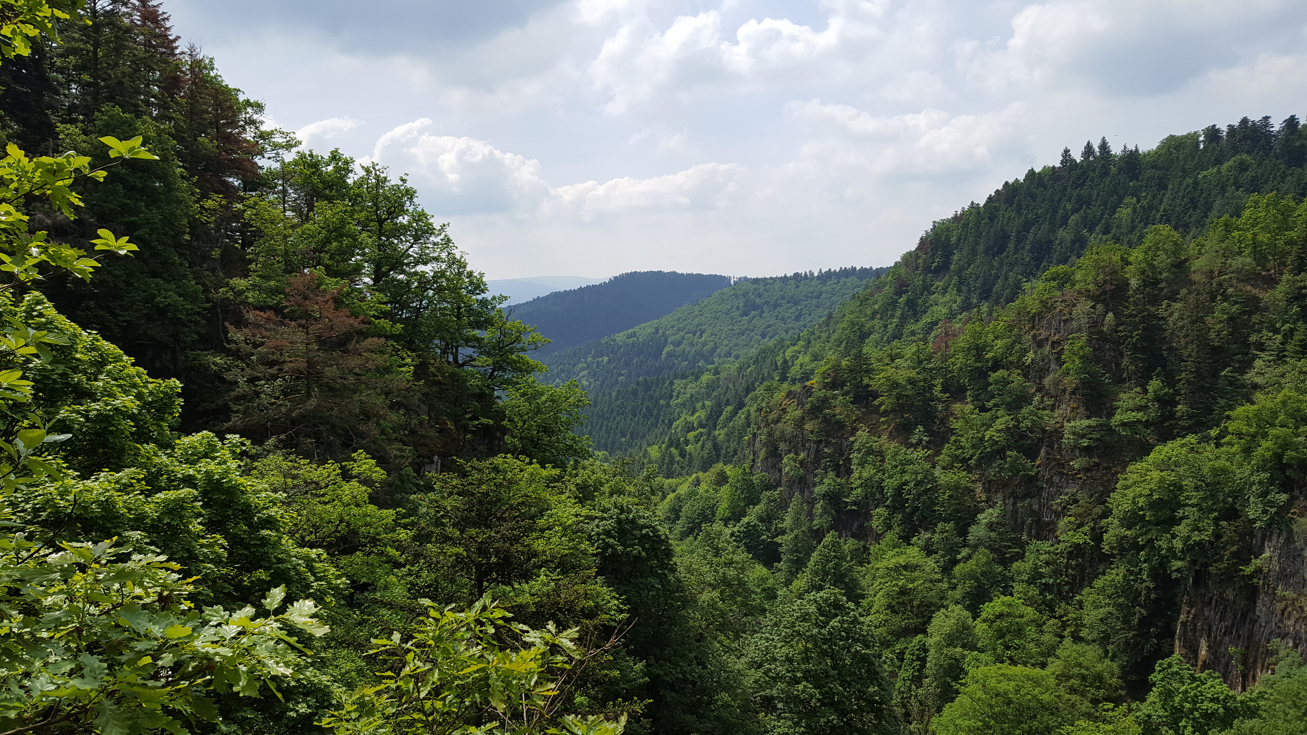 Photo n° 4 de l'avis de Aurelien.p fait le 25/05/2017 à 18:33