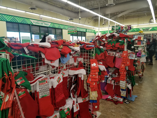 Dollar Store «Dollar Tree», reviews and photos, 1243 E Higgins Rd, Schaumburg, IL 60173, USA
