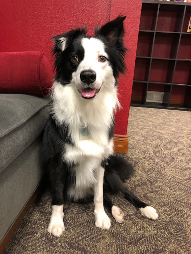 Yoga Studio «Container Collective Yoga and Bikes», reviews and photos, 1492 Ammons St, Lakewood, CO 80214, USA