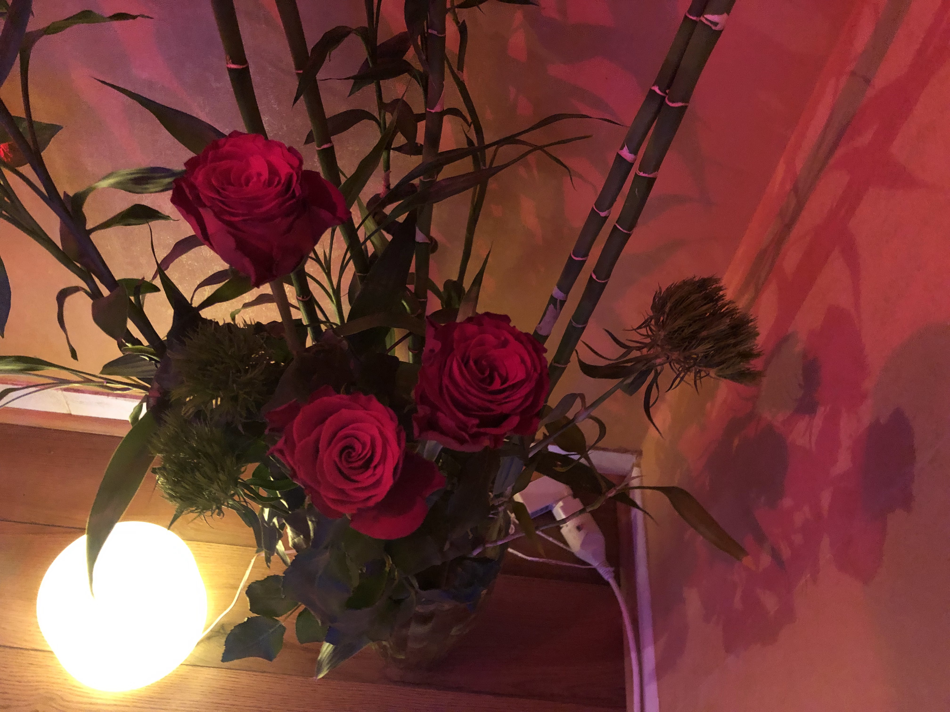 Photo n° 2 de l'avis de Hua.a fait le 21/02/2019 à 18:20