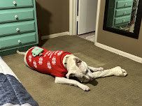 PetSmart - Photo 3 - Car repair in Tulsa, OK, Tulsa