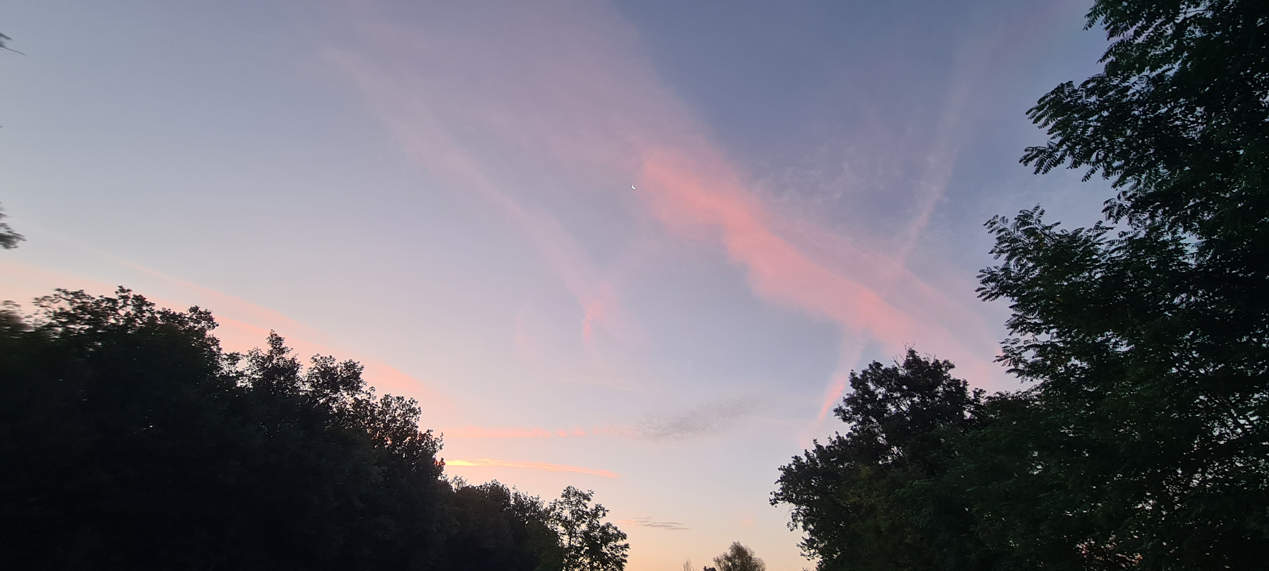 Photo n° 1 de l'avis de Cécilia. fait le 15/08/2023 à 06:47