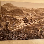 Photo n°8 de l'avis de davide.i fait le 02/04/2023 à 13:20 sur le  Trattoria Da Lorenzo à Torreglia