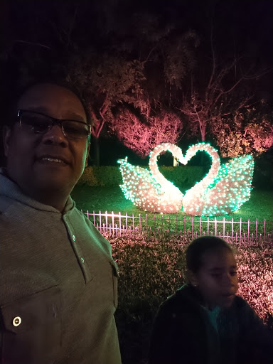 Performing Arts Theater «Pantopia Theater», reviews and photos, 3000 E Busch Blvd, Tampa, FL 33612, USA