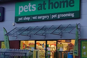 Pets at Home Stoke Festival image