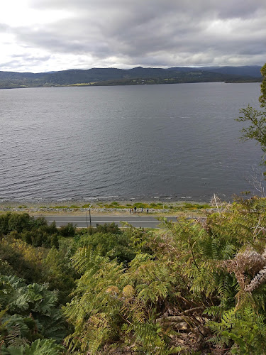 Empanadas Pobre Gallo - Chonchi