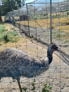 Parc Animalier de Coux d'Auzances Coux, Auzances, France