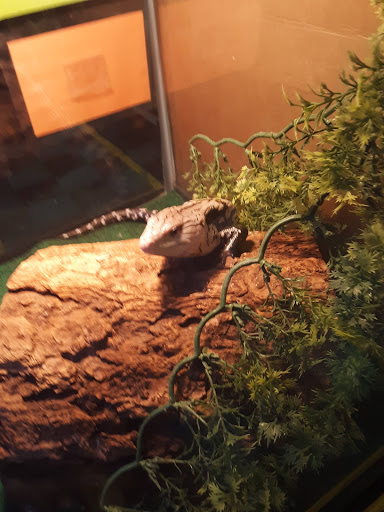 Pet Store «The Pet Zone», reviews and photos, 20 W Oak St, Pittston, PA 18640, USA