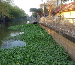 Wat Bua Kaew Satthatham photo