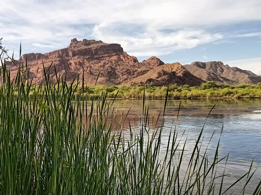 Tourist Attraction «Salt River Tubing», reviews and photos, 9200 N Bush Hwy, Mesa, AZ 85215, USA