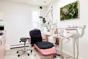 Englewood Dentistry: Roshana Sherzoy, DDS image