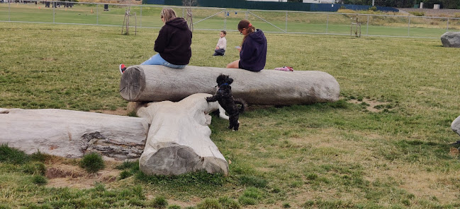 Comments and reviews of Plimmerton dog park