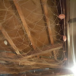 Photo n°3 de l'avis de Carmen.i fait le 06/07/2020 à 21:08 sur le  Il Bianco E Nero à Nicotera Marina