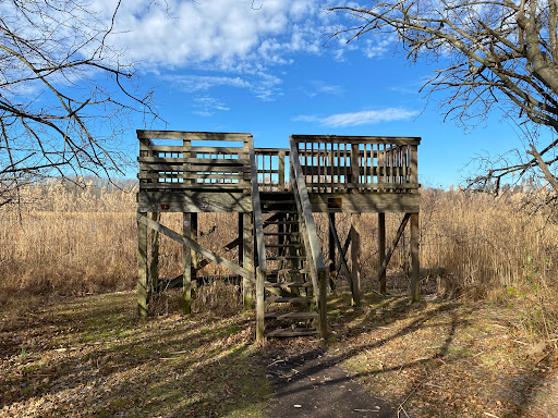 Nature Preserve «The Celery Farm», reviews and photos, Franklin Turnpike, Allendale, NJ 07401, USA