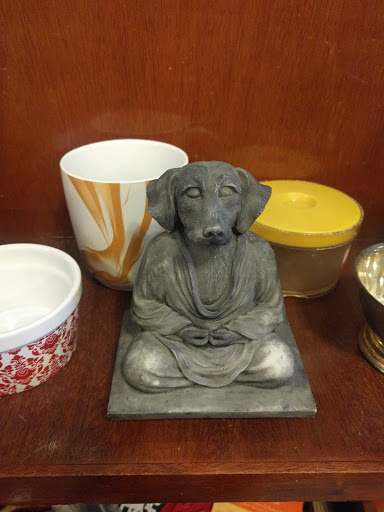 Thrift Store «Boomerangs», reviews and photos, 563 Massachusetts Ave, Cambridge, MA 02139, USA