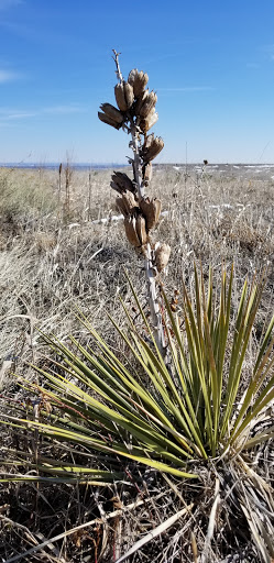 Nature Preserve «Rocky Flats National Wildlife Refuge», reviews and photos, 10808 Colorado 93, Golden, CO 80403, USA