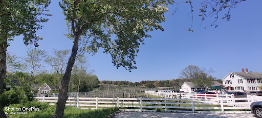 Winery «Truro Vineyards + South Hollow Spirits», reviews and photos, 11 Shore Rd, North Truro, MA 02652, USA