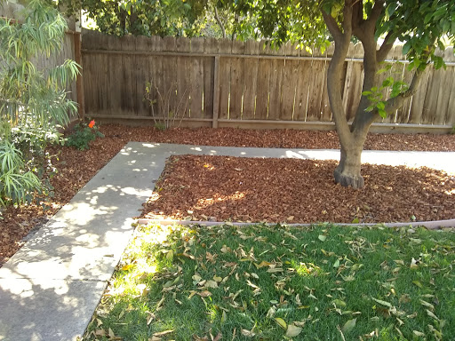 Courtyard Lawn Care